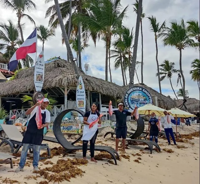 Frühstückspension Dios Es Fiel - Ali Hotel Punta Cana Dominikanische Republik